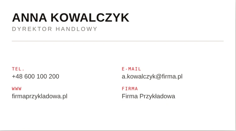 projekt-06-siatka.png